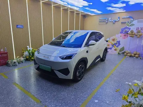 Seagull 2025 Smart Driving Edition 305km Free Edition