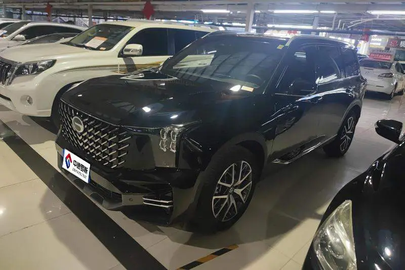 Trumpchi GS8 2024 Pilot Series 2.0TGDI Two-wheel Drive Luxury Smart Edition