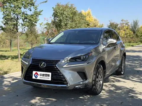 Lexus NX 2020 200 Front-Tracción Fengyi Edition National VI