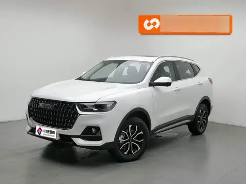 Haval H6 2023 National Trend Edition 1.5T Automatic City Edition