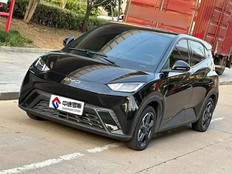Seagull 2024 Honor Edition 305km Freedom Edition