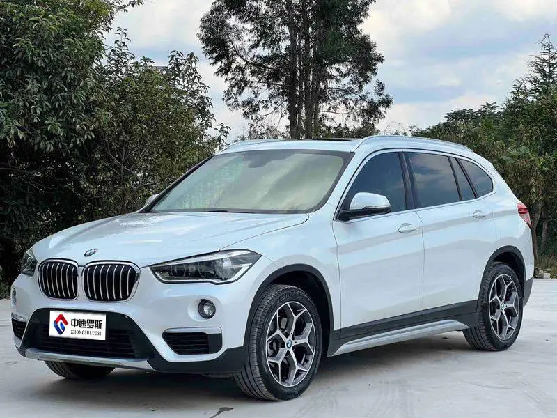 BMW X1 2019 sDrive18Li Premium Edition