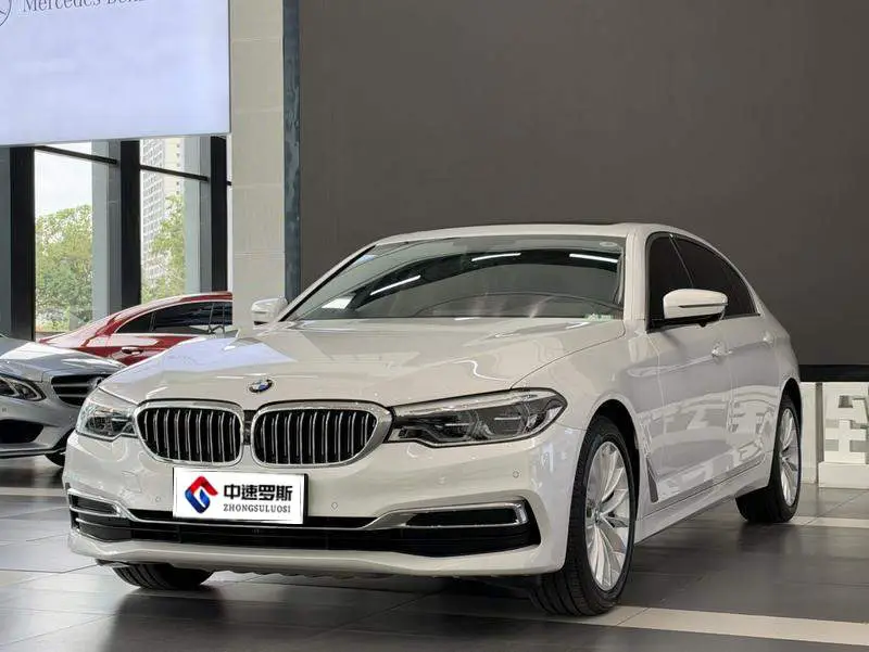 BMW 5 Series 2020 530Li Leading Luxury Package
