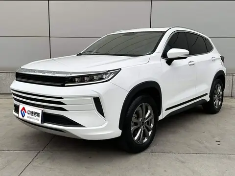 Star Chasing 2022 Riding the Wind and Waves Edition 1.5T CVT Good Things Peanut Edition