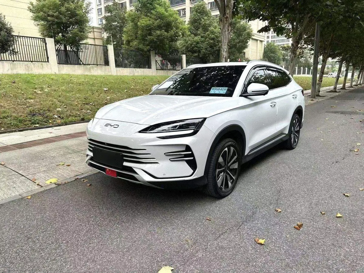 Song PLUS New Energy 2025 DM-i Intelligent Driving Edition 112KM Premium Edition