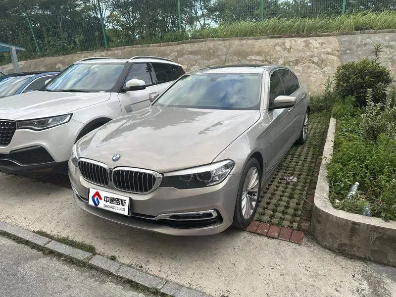 BMW 5 Series 2018 530Li Premium Luxury Package