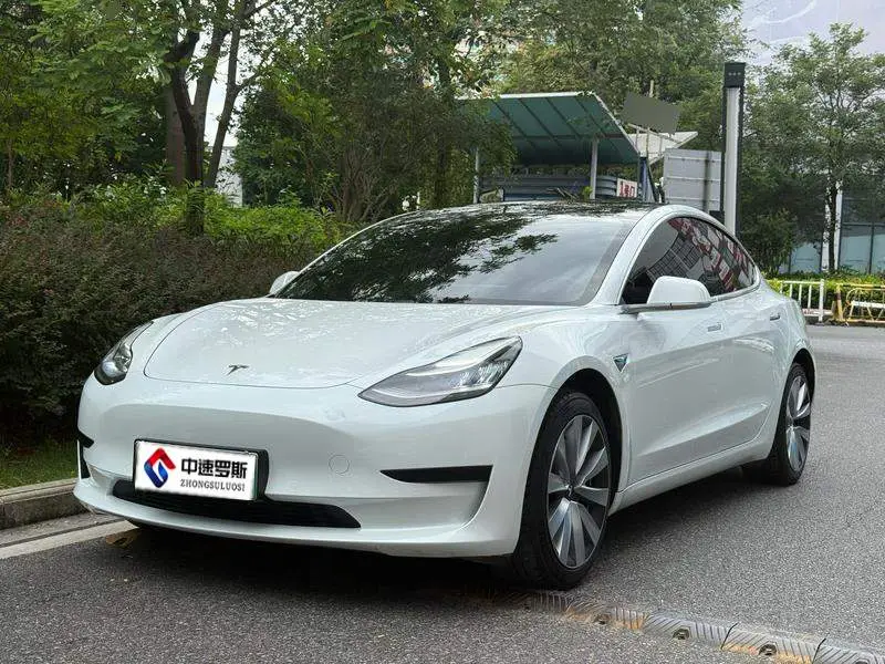 Модель 3 2020 Standard Range RWD Upgraded Version