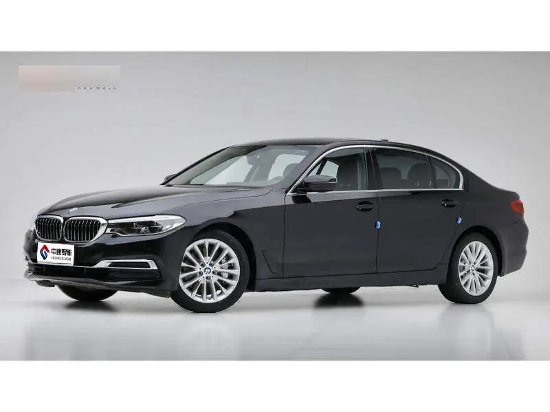 BMW 5 Series 2020 530Li Leading Luxury Package