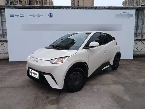 Seagull 2025 305กม. Vitality Edition