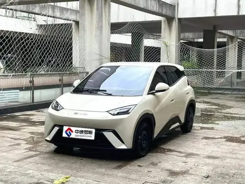 Seagull 2023 Flying Edition