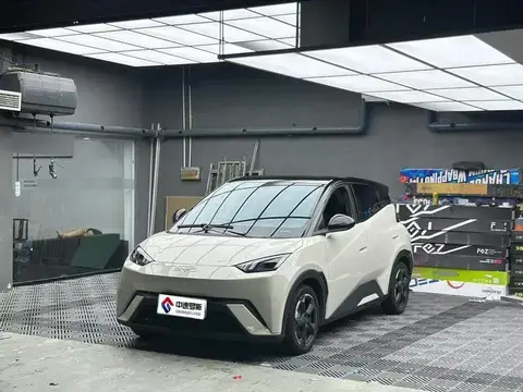 Seagull 2024 Honor Edition 305км Freedom Edition