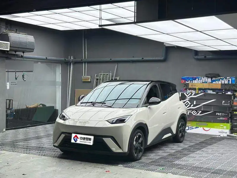 Seagull 2024 Honor Edition 305كم Freedom Edition