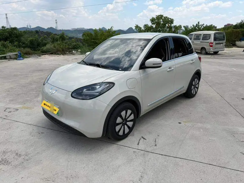 Wuling Bingo 2024 333km Enjoy Edition