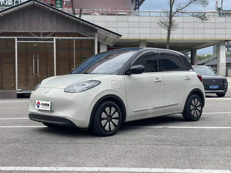 Wuling Bingo 2023 410km Lingxi Premium Edition