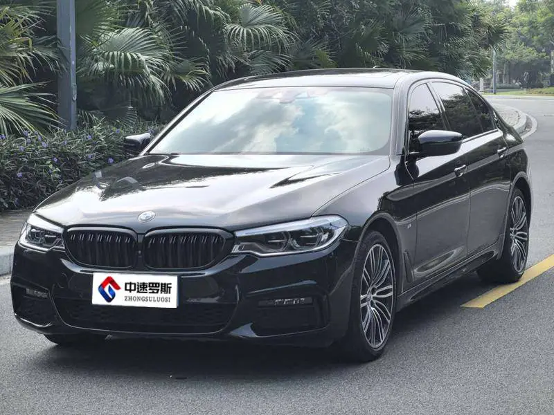 BMW 5 Serie 2019 530Li Premium M Sport Package