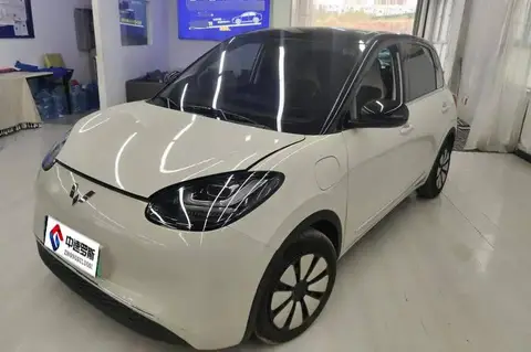 Wuling Bingo 2024 333km Enjoy Edition