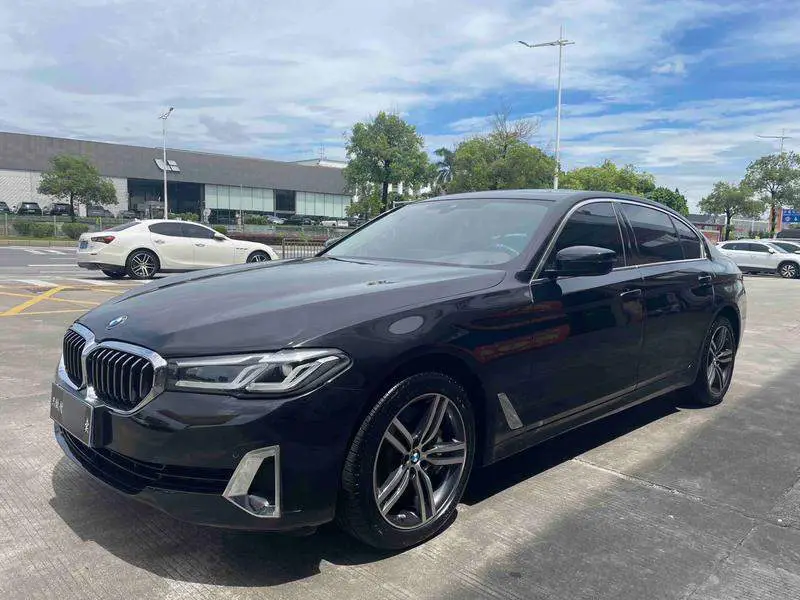 BMW 5 Series 2021 530Li Leading Luxury Package