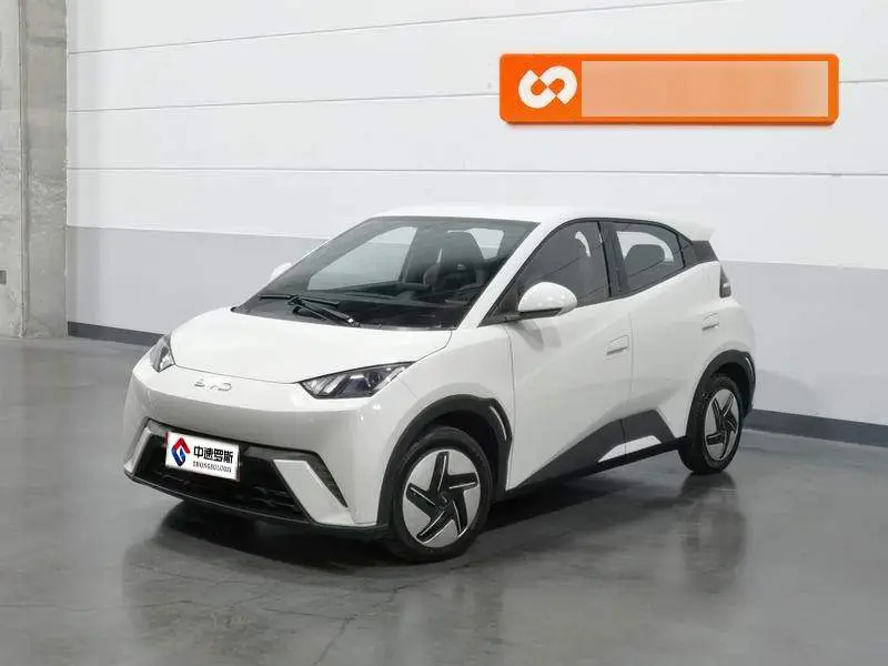 Seagull 2025 305กม. Vitality Edition