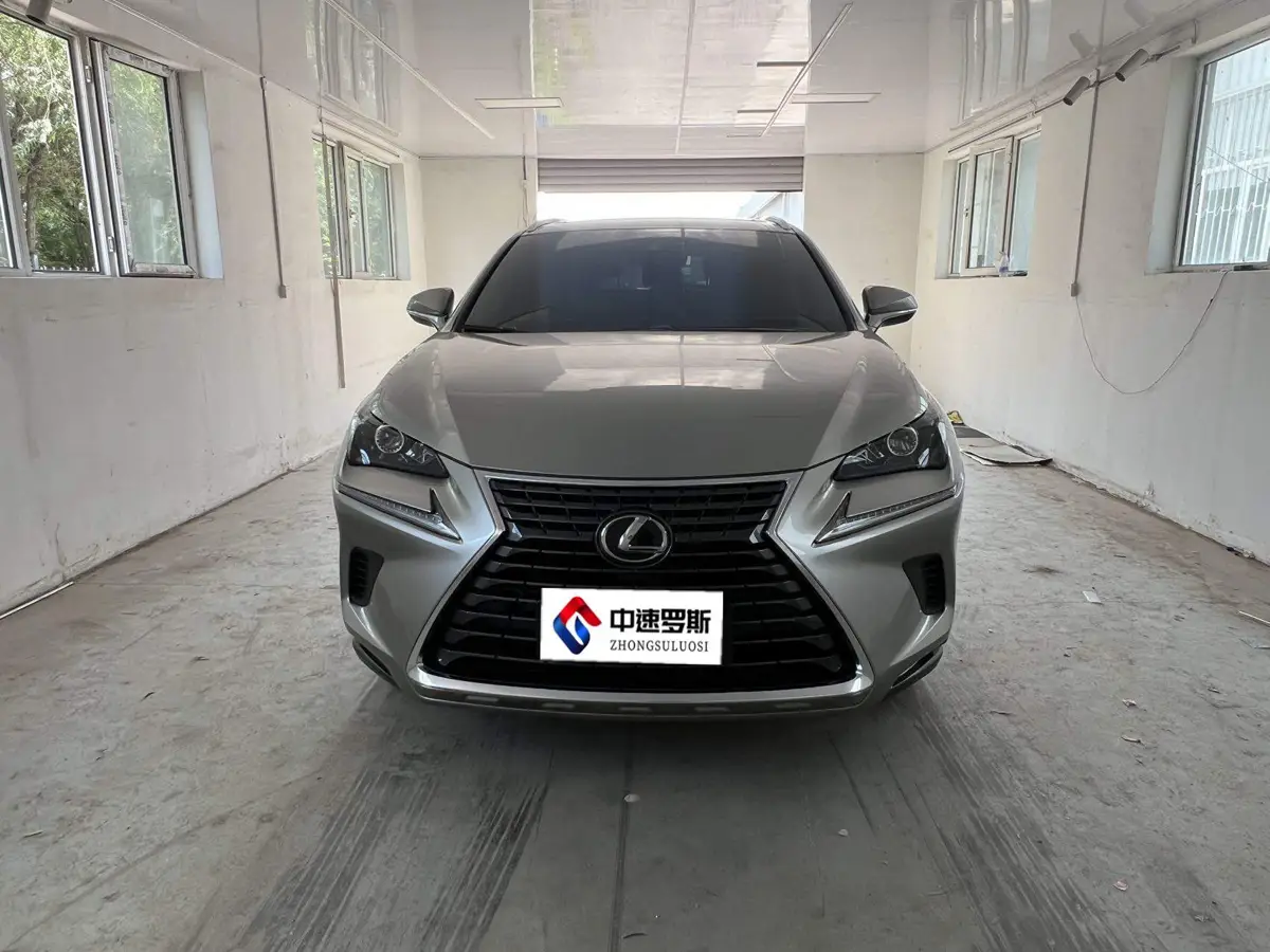 Lexus NX 2020 200 All-wheel Drive Frontier Edition National VI