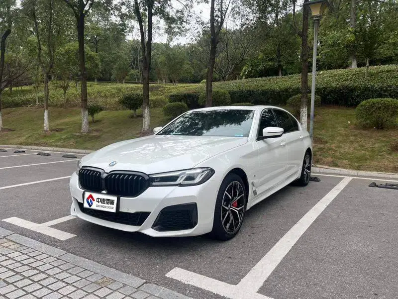 BMW 5 Series 2021 530Li Premium M Sport Package