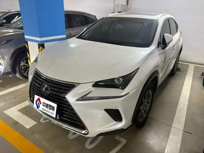 Lexus NX 2020 200 All-wheel Drive Front Edition National V