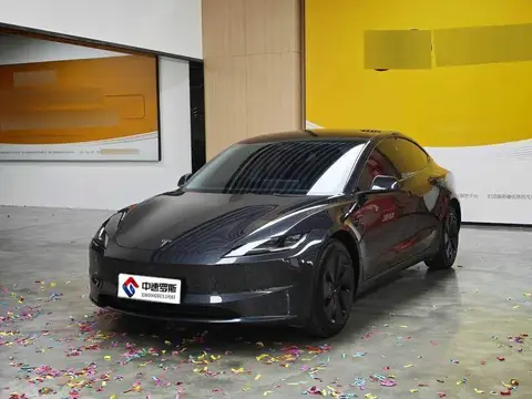 Модель 3 2023 rear-wheel drive version