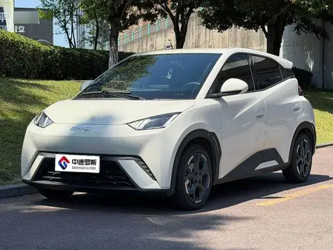 Seagull 2025 305km Freedom Edition
