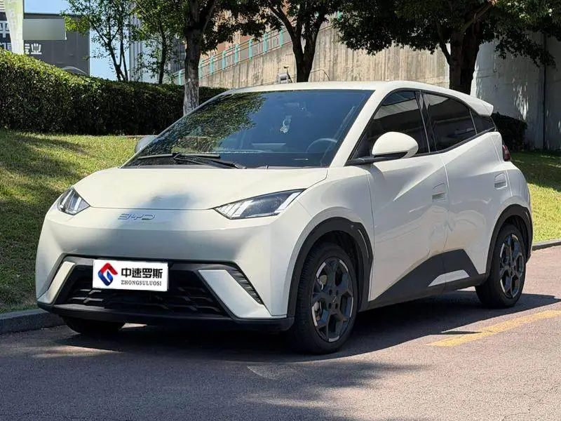 Seagull 2025 305km Freedom Edition