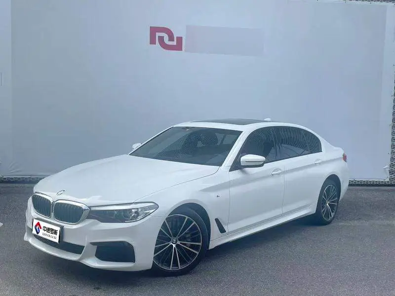 BMW 5 Series 2019 530Li Leading M Sport Package