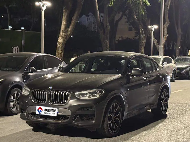 BMW X4 2019 xDrive25i M Off-Road Package