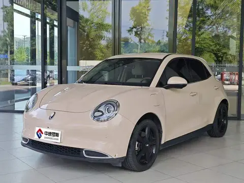Ora Good Cat 2024 401km Luxury Model