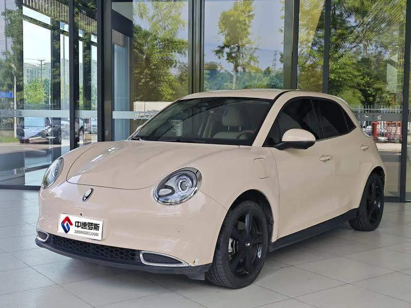 Ora Good Cat 2024 401km Luxury Model