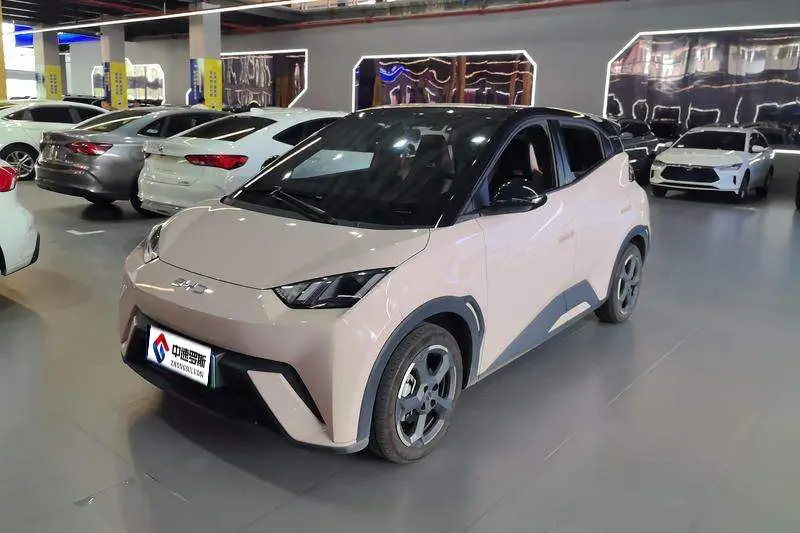 Seagull 2024 Glory Edition 405km Flying Edition