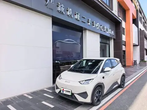 Seagull 2025 Smart Driving Edition 305км Free Edition
