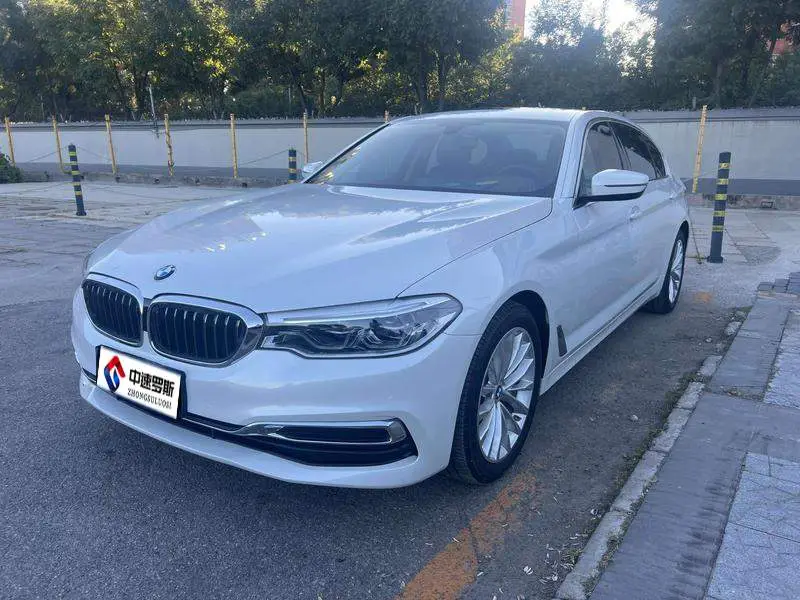 BMW 5 Series 2020 530Li Leading Luxury Package