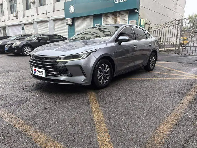Destroyer 05 2024 Honor Edition DM-i 55KM Luxury