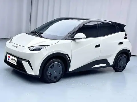 Seagull 2023 Vitality Edition