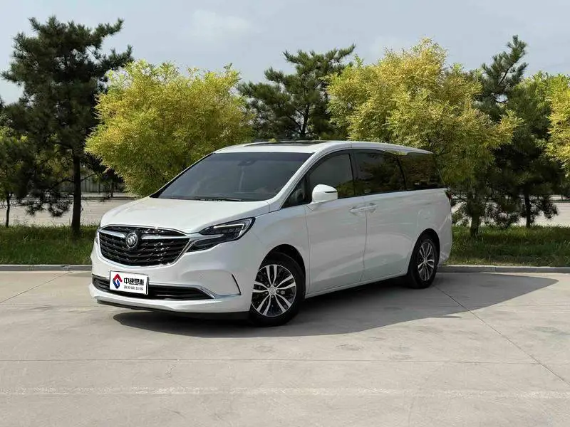 Buick GL8 2021 ES Lu Zun 653T Premium Edition