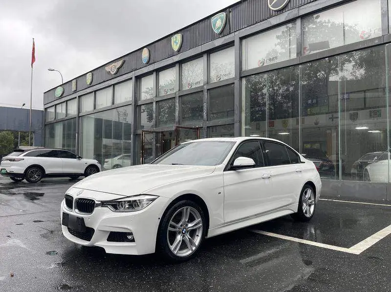 BMW 3 Series 2019 320Li M Sport Package