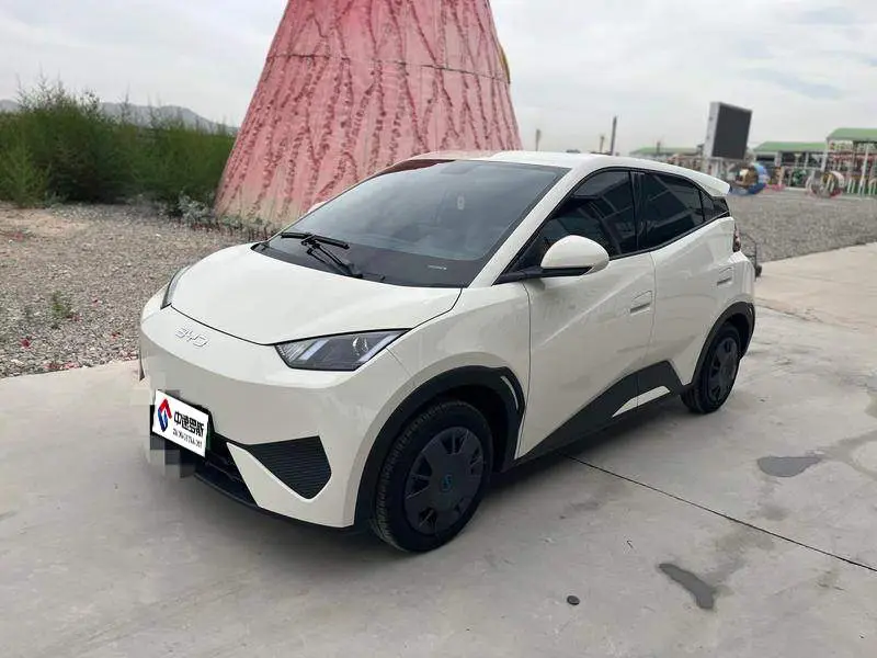 Seagull 2025 305كم Freedom Edition