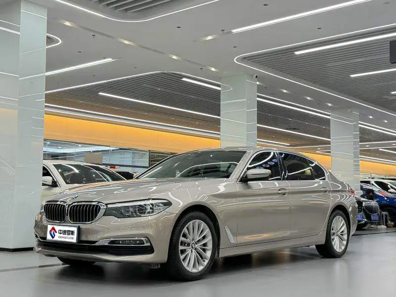 BMW 5 Series 2019 530Li Leading Luxury Package