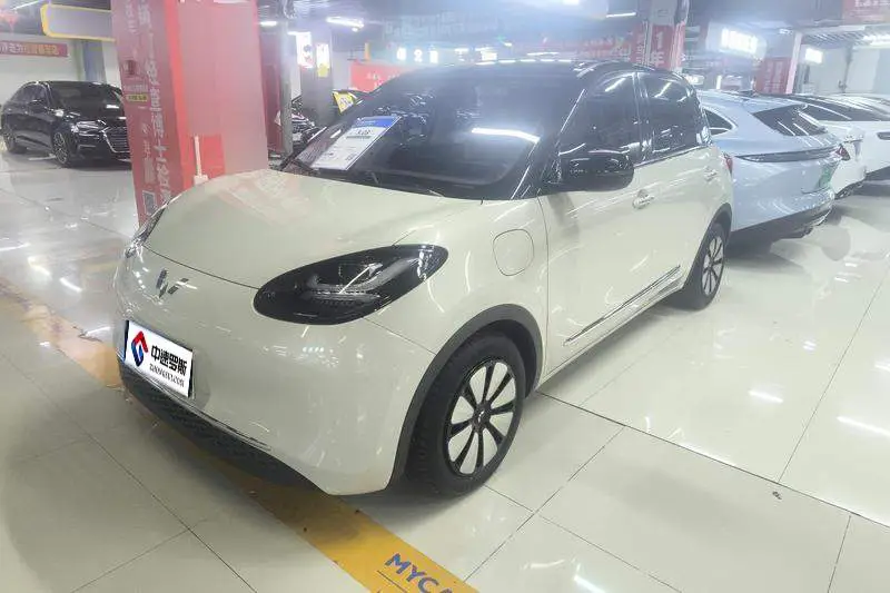 Wuling Bingo 2024 333km Enjoy Edition