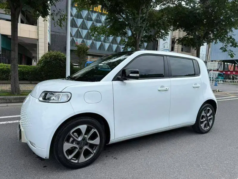 Ora White Cat 2020 360km Luxury Model