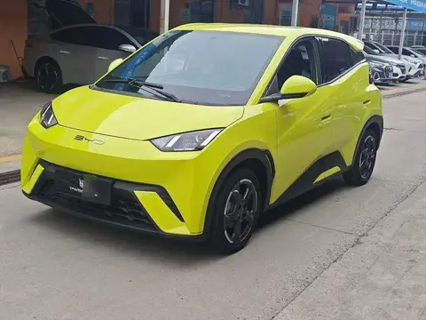 Seagull 2023 Flying Edition