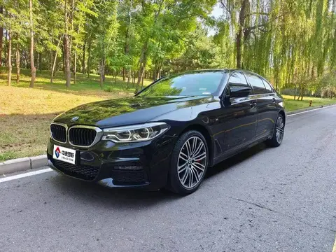 BMW 5 Série 2019 530Li Premium M Sport Package