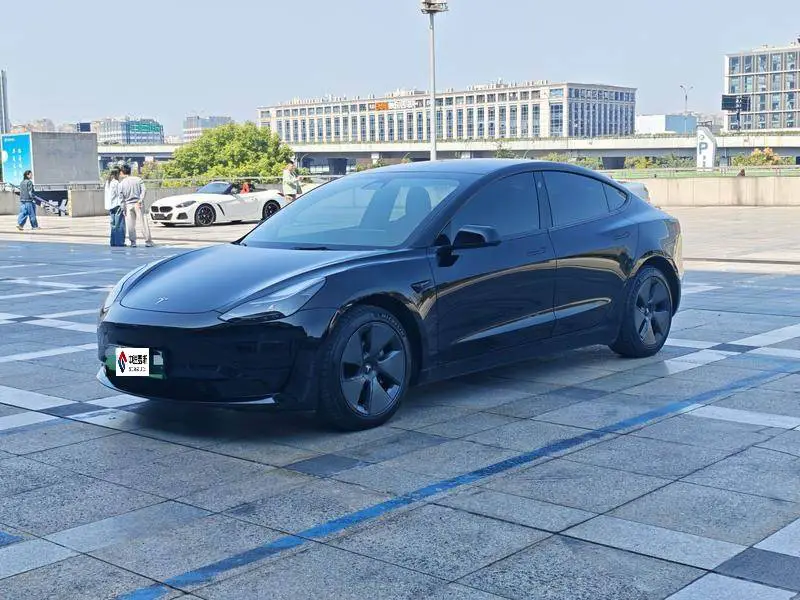 Model 3 2021 Standard Range RWD Upgraded 3D6