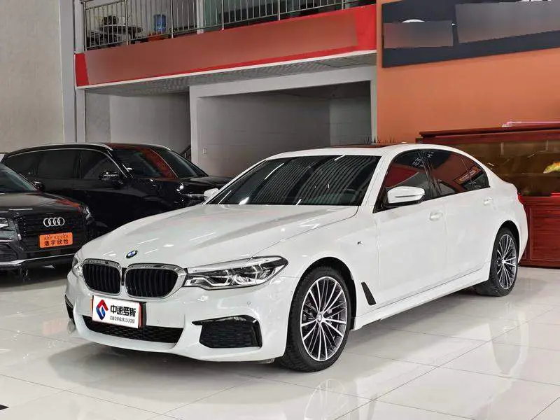 BMW 5 Series 2019 530Li Premium M Sport Package