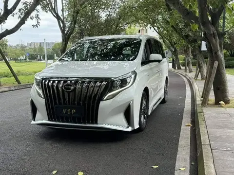 Trumpchi M8 2021 Master Series 390T Supreme Edition