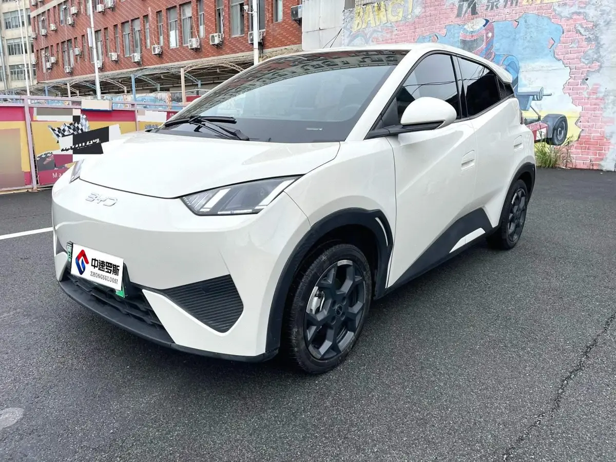Seagull 2025 Smart Driving Edition 405km/h Comfort Edition
