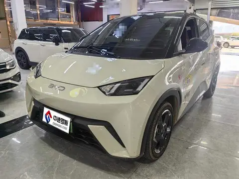 Seagull 2024 Honor Edition 305km Freedom Edition